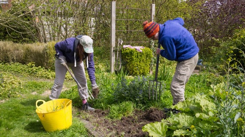 Two volunteers working in the kitchen garden with a yellow bucket in the foreground at Saddlescombe Farm and Newtimber Hill, West Sussex